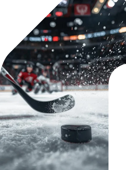 Hauptbild des Leitfadens