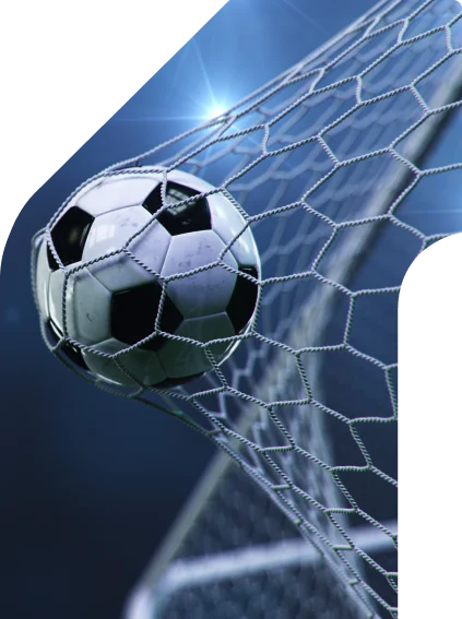 Hauptbild des Leitfadens