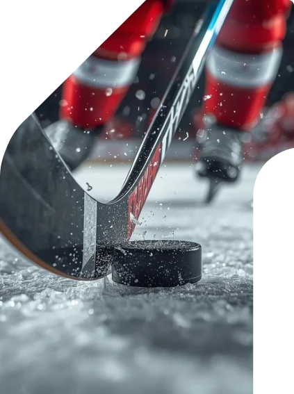 Hauptbild des Leitfadens