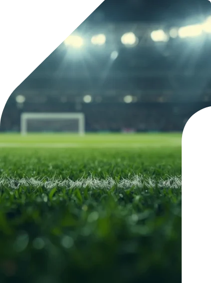 Imagen principal de la guía