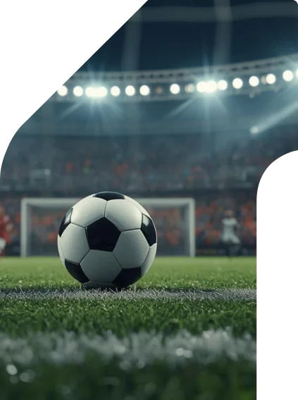 Imagen principal de la guía