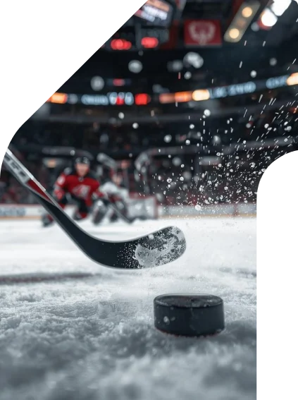 Image principale du guide