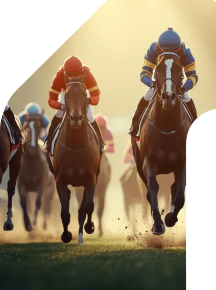 Image principale du guide