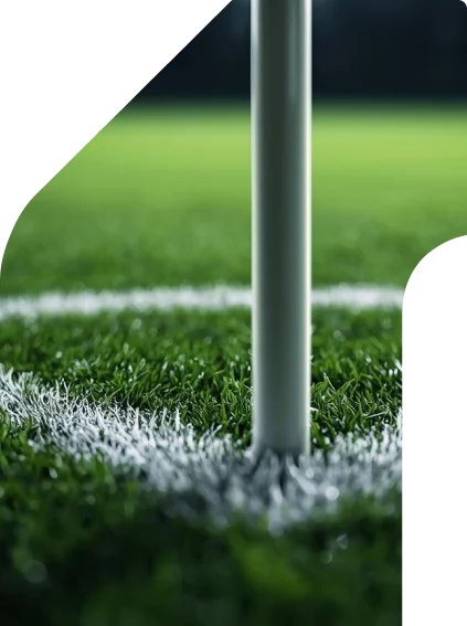 Imagem principal do guia