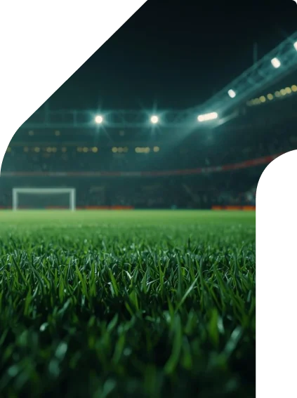 Imagem principal do guia